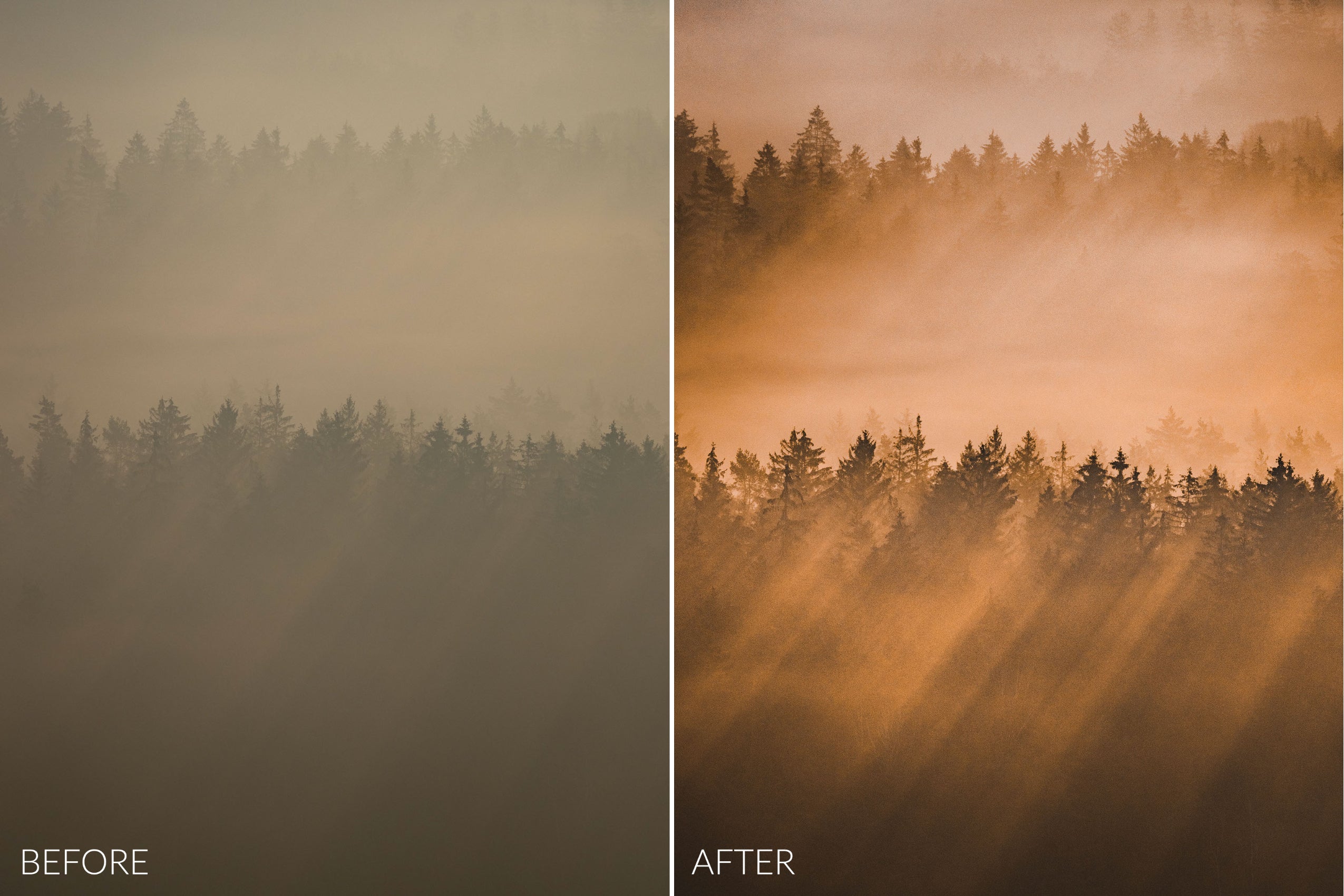 Golden Hour Lightroom Presets