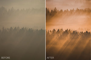 Golden Hour Lightroom Presets