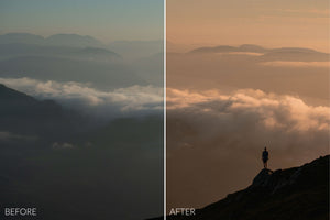 Value Collection Lightroom Presets