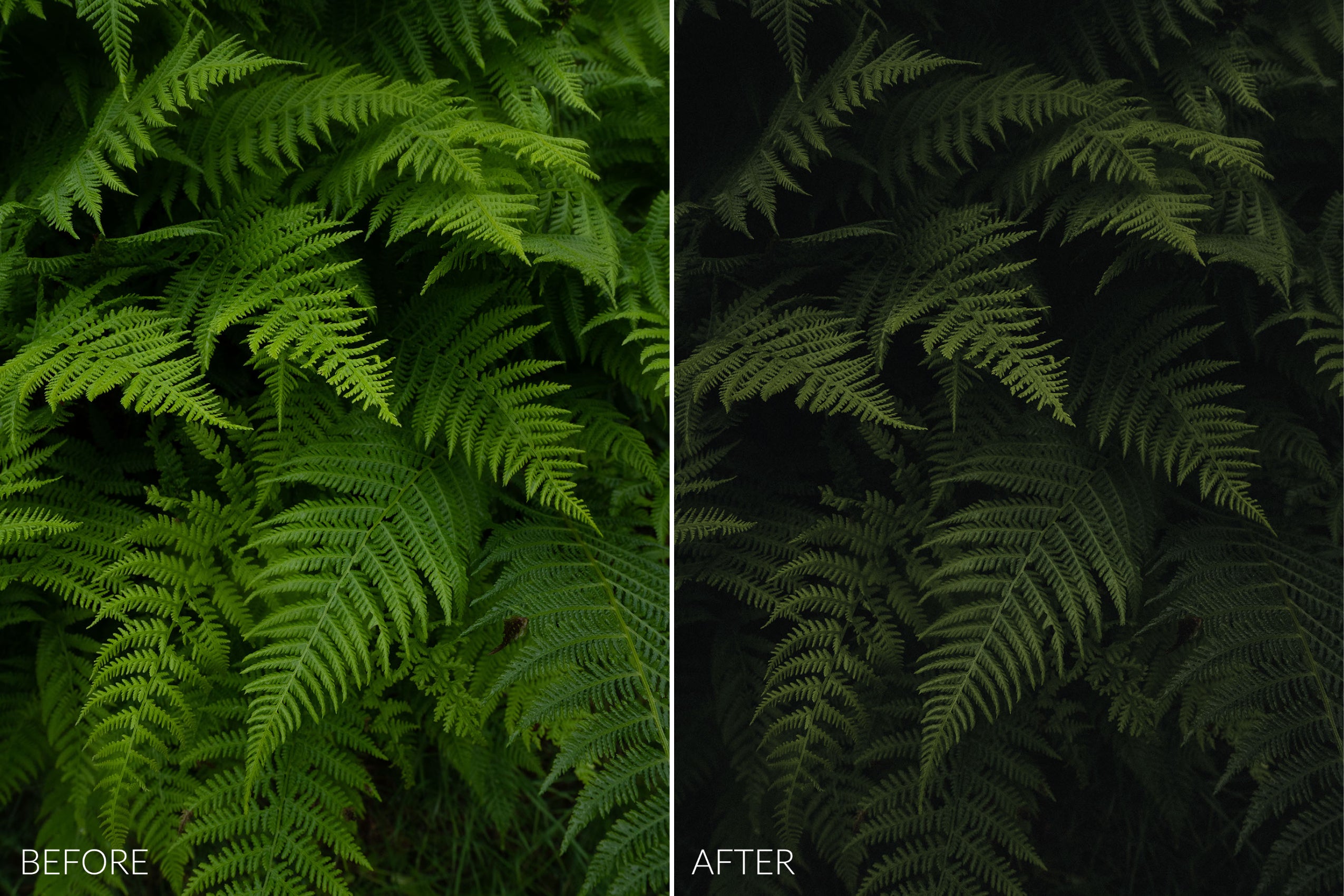 Lush Greens Lightroom Presets